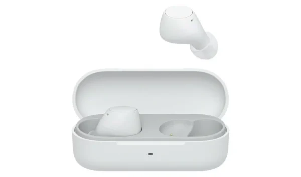 JLab GO Air Sport True Wireless Earbuds – Graphite